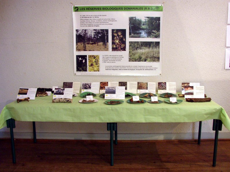 2010 10   Expo Champignons   Hermeray